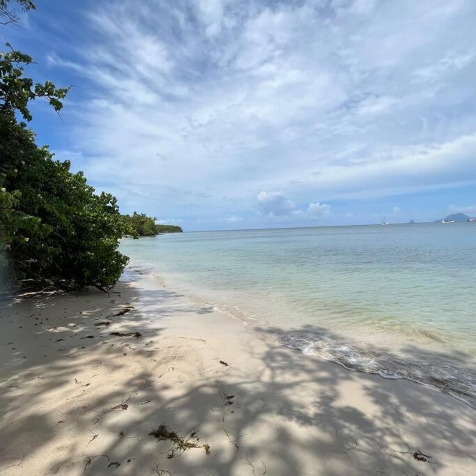 Studio La «Kaz' A Coco» Anse Caritan Sainte-Anne Exterior foto